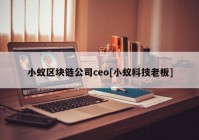 小蚁区块链公司ceo[小蚁科技老板]